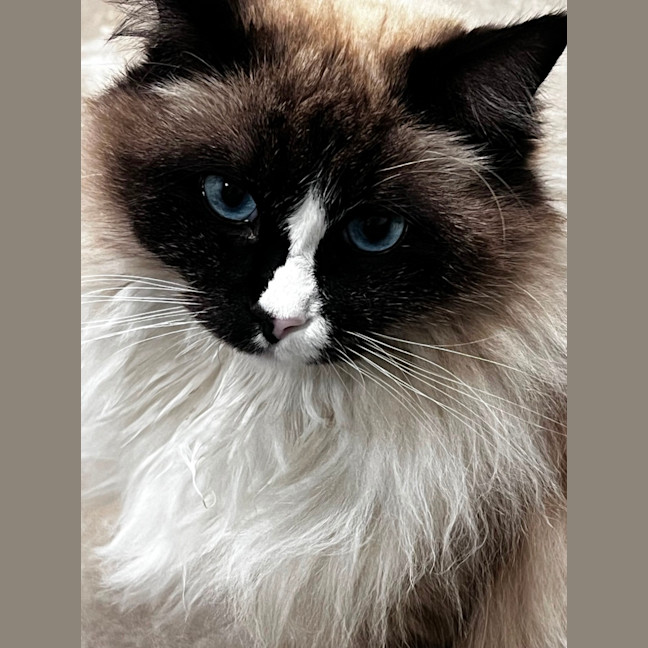 Photo of Oliver