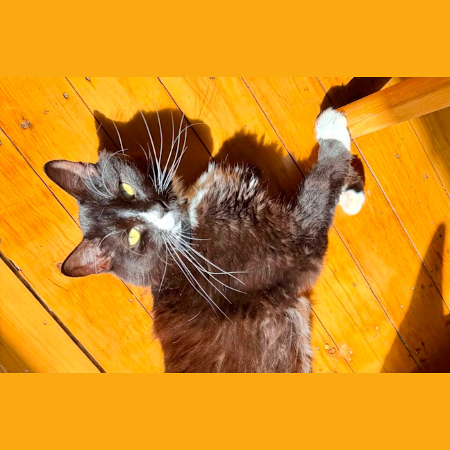 Photo of Edward