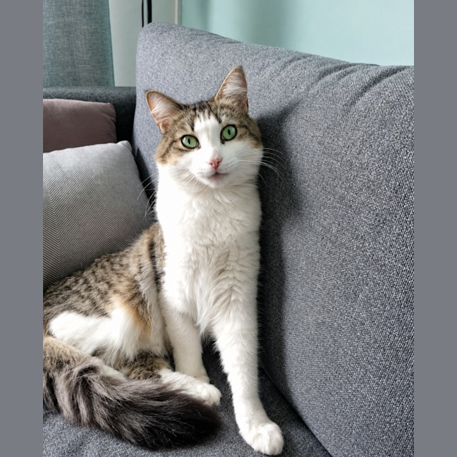 Photo of Feefee
