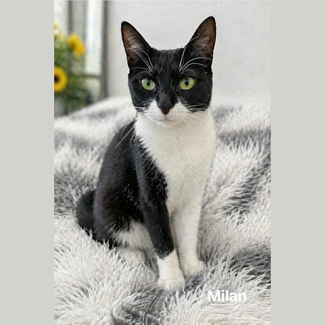 Photo of Milah