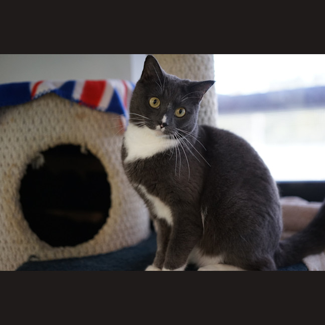 Photo of Ash