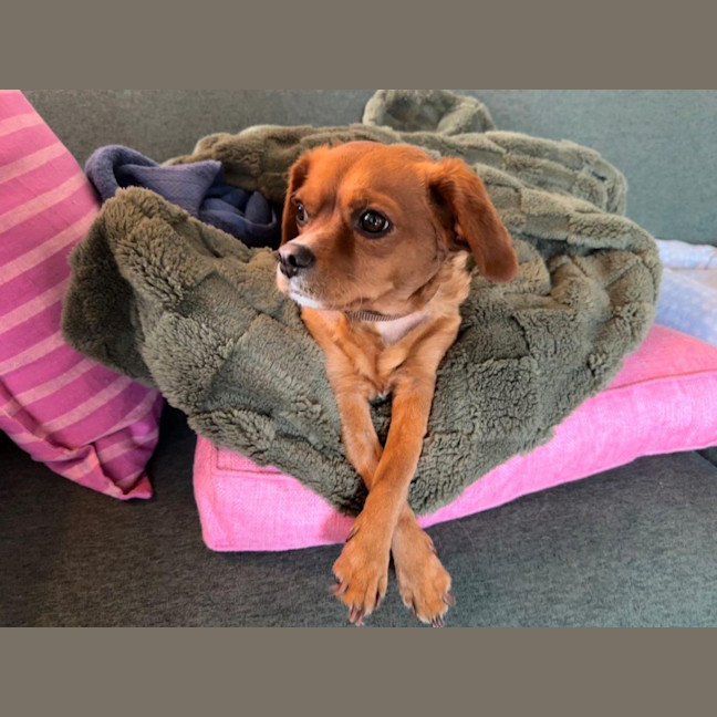 Photo of Toby Quinnell