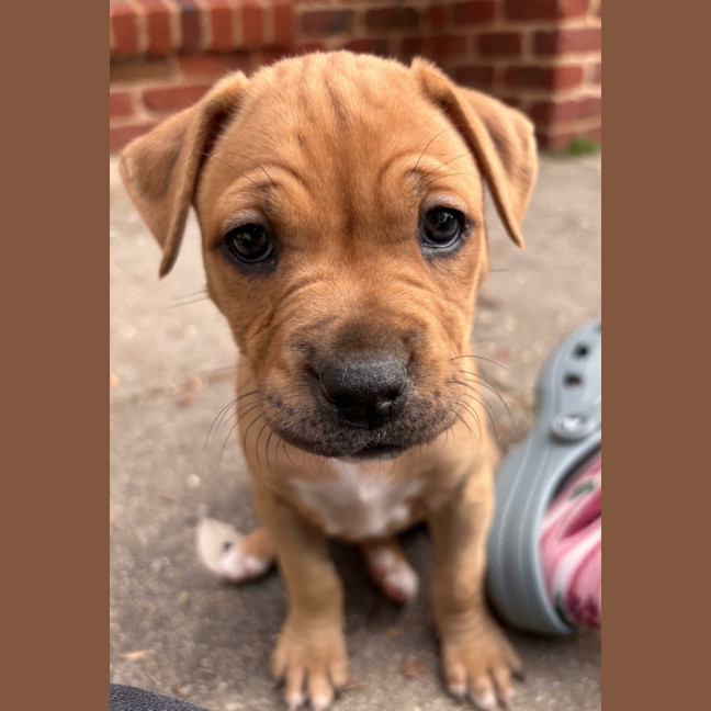 Photo of Winnie Roo