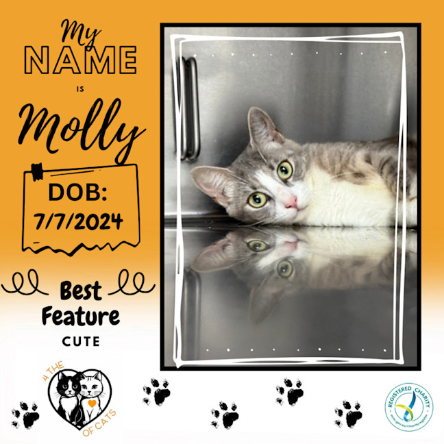 Photo of Molly
