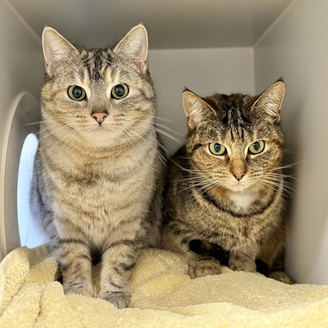 Photo of Stormi And Yeow Yeow