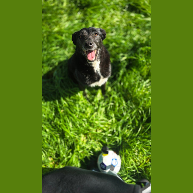Photo of Matilda