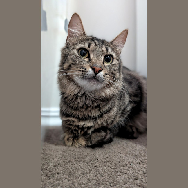 Photo of Daisy