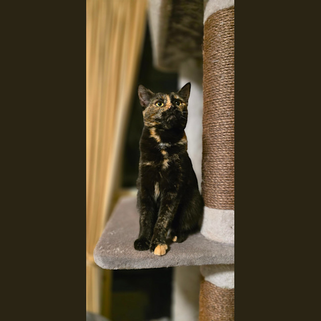 Photo of Hazel