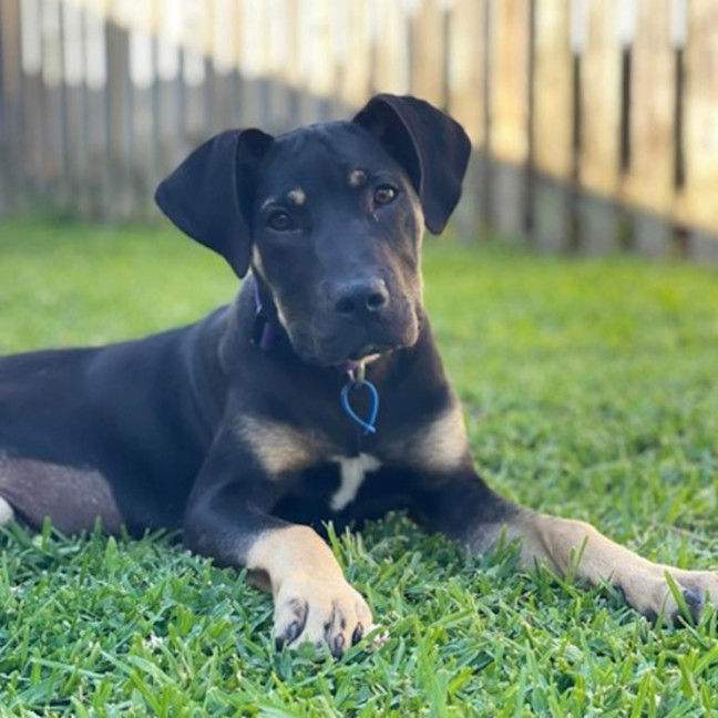 Photo of Zena