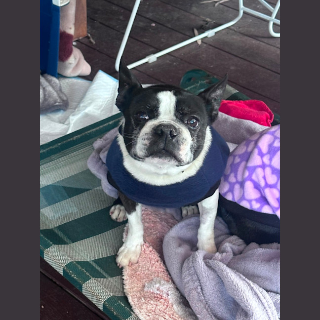 Photo of Timmy