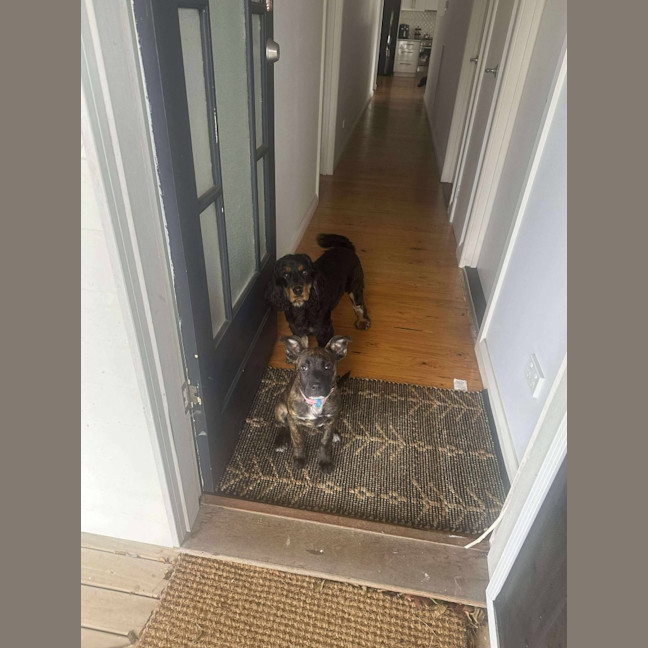 Photo of Lola