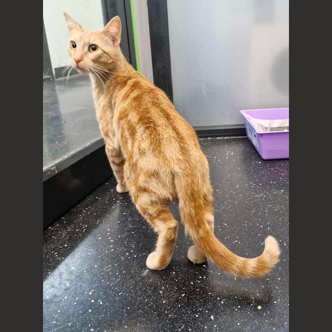 Photo of Burger Oyne