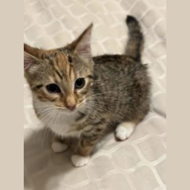 Photo of Cleo