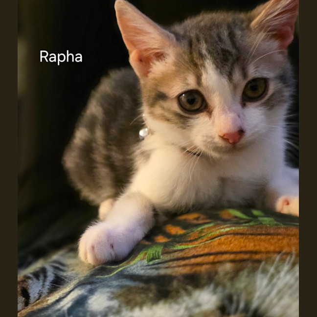 Photo of Rapha