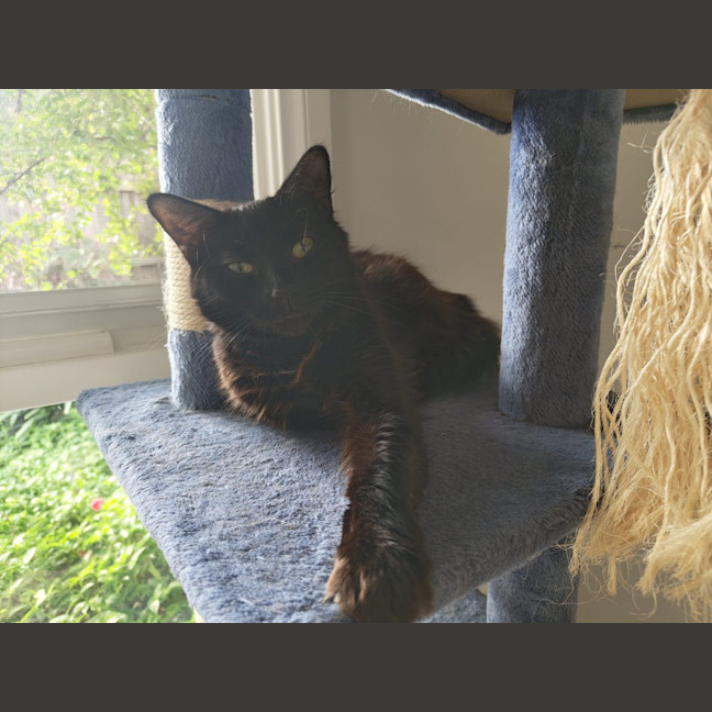 Photo of Jasmine