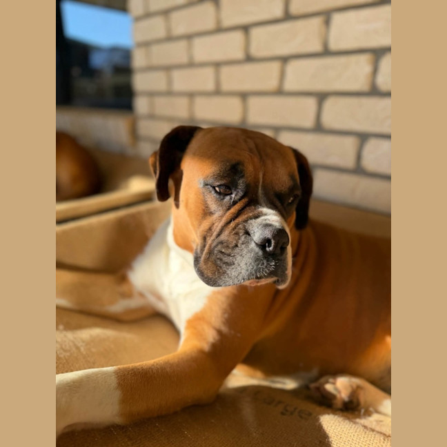 Photo of Ruben