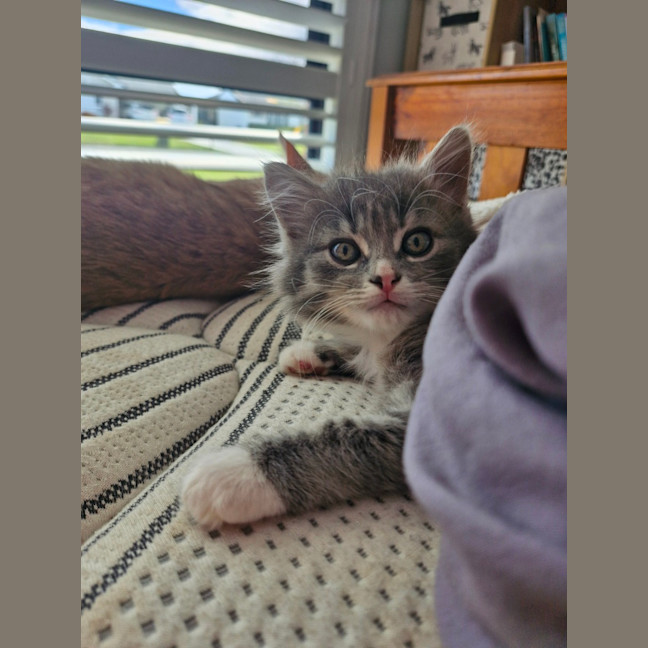 Photo of Tasha