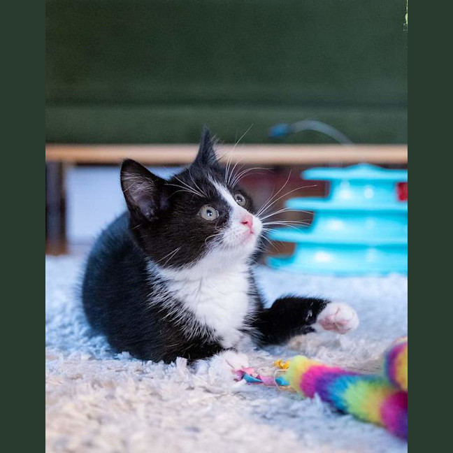 Photo of Timmy