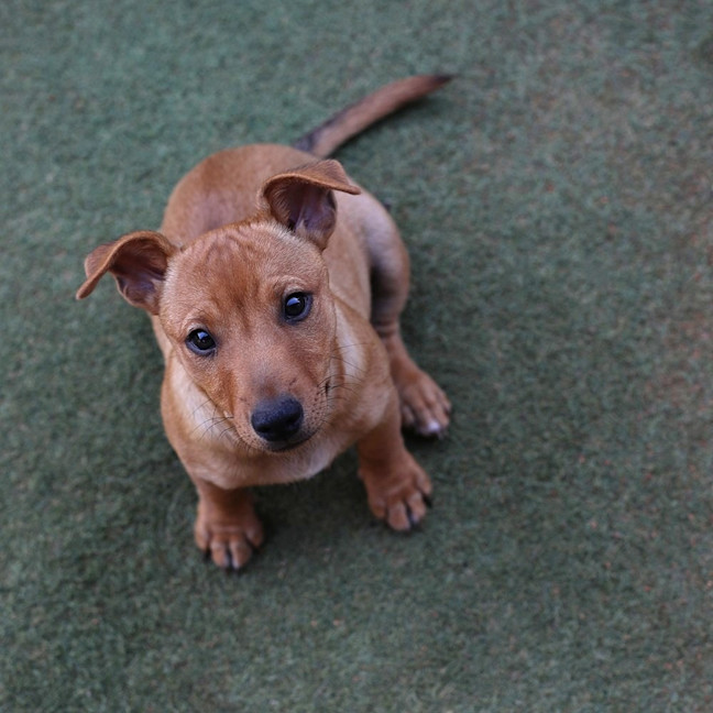 Photo of Ellie