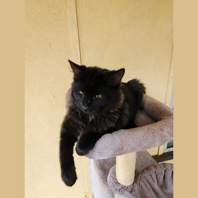 Photo of Phoenix