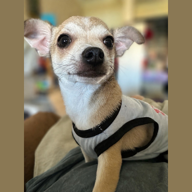 Photo of Riff