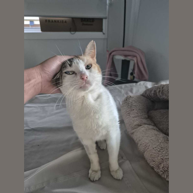 Photo of Molly