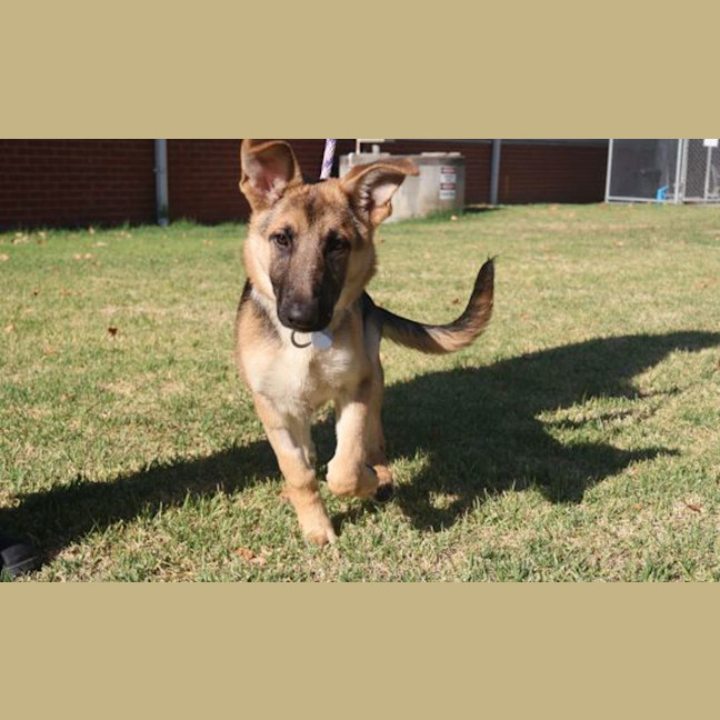 Photo of Axel
