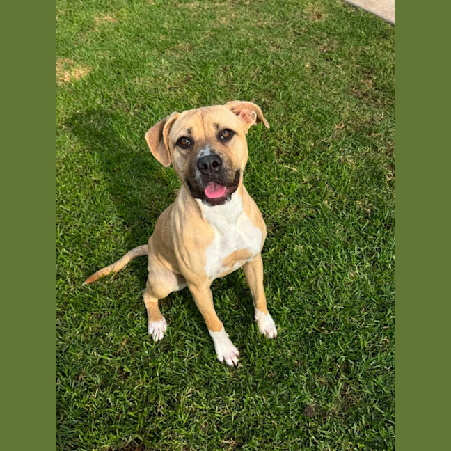 Photo of Daisie