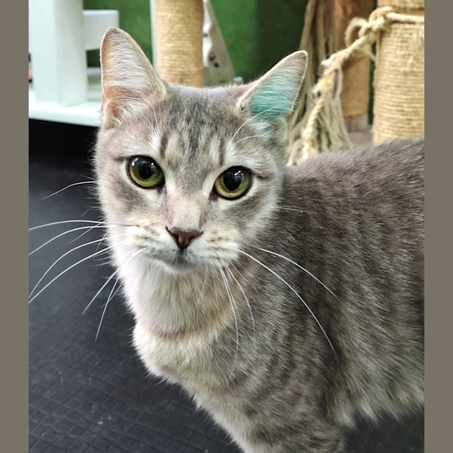 Photo of Frankie