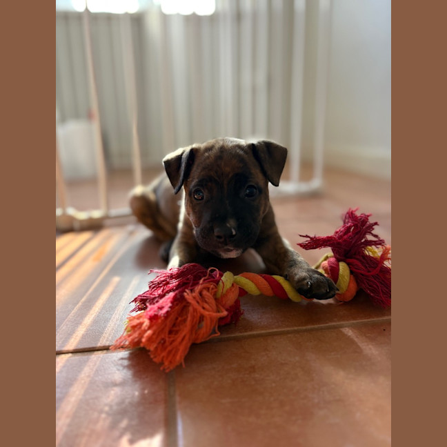 Photo of Jovi