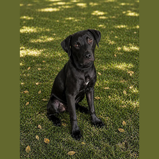 Photo of Junior 