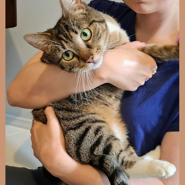 Photo of Tabitha