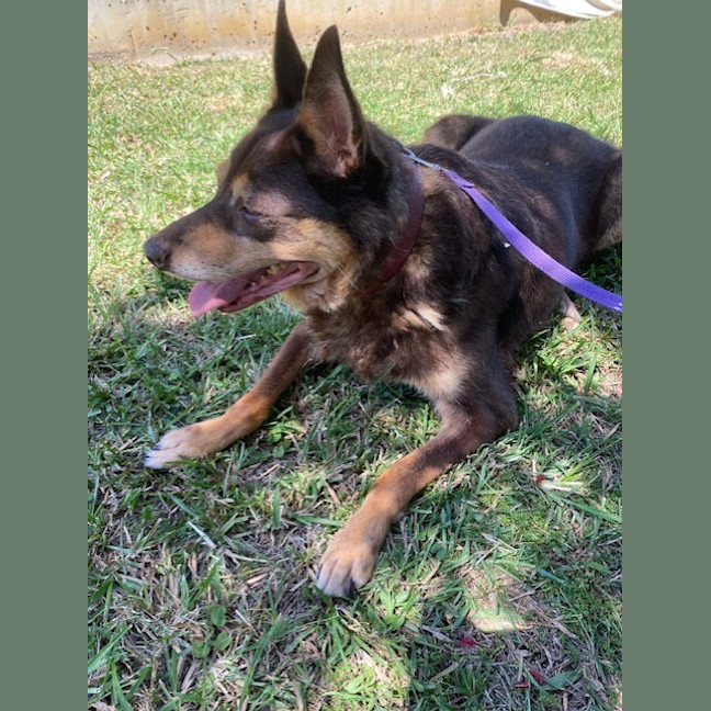 Photo of Ruby