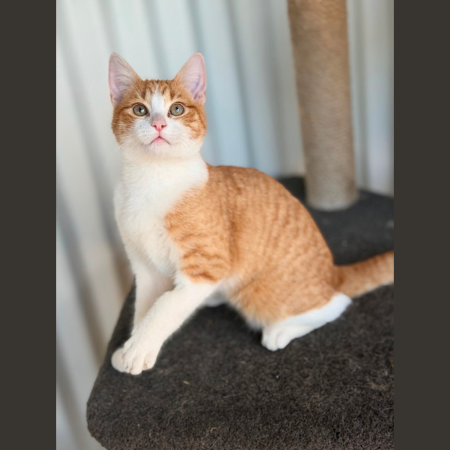 Photo of Skeeter