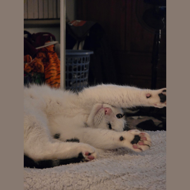 Photo of Quinten