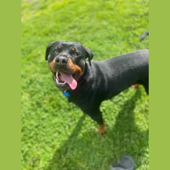 Photo of Jessie