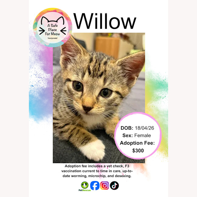 Photo of Willow