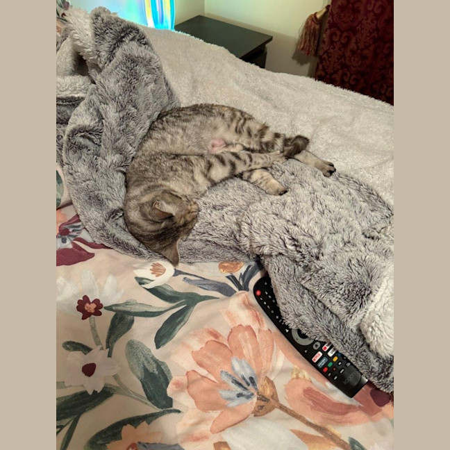 Photo of Arianna Quinnell