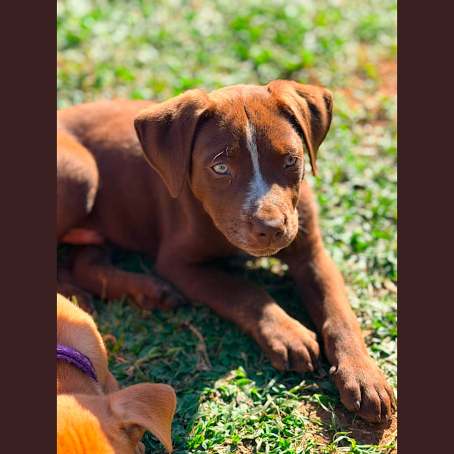 Photo of Byers