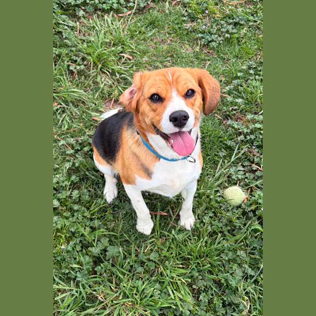 Photo of Buster