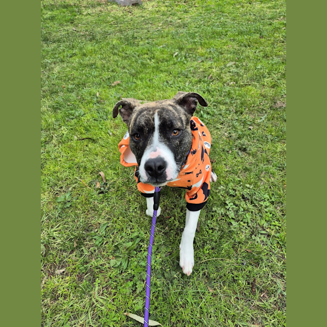 Photo of Cenric Riley