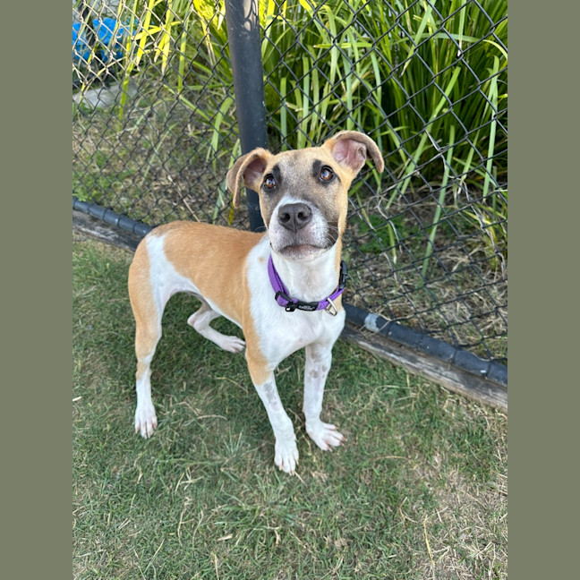 Photo of Elsie