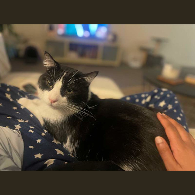 Photo of Tom