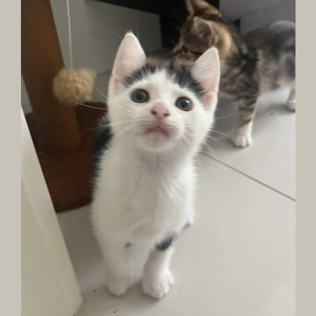 Photo of Delilah