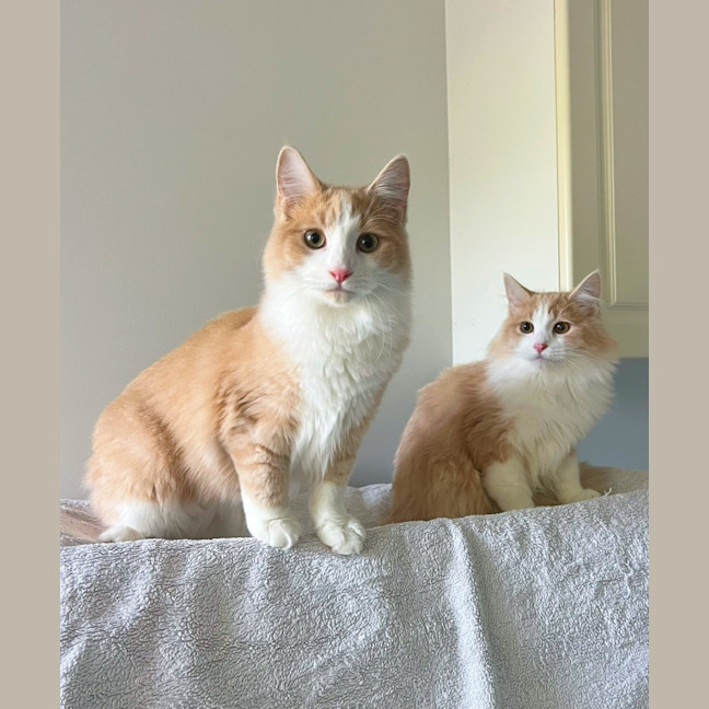 Photo of Tommy & Jerry