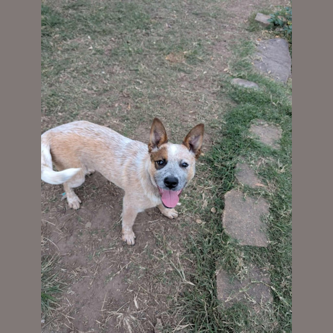 Photo of Audrey