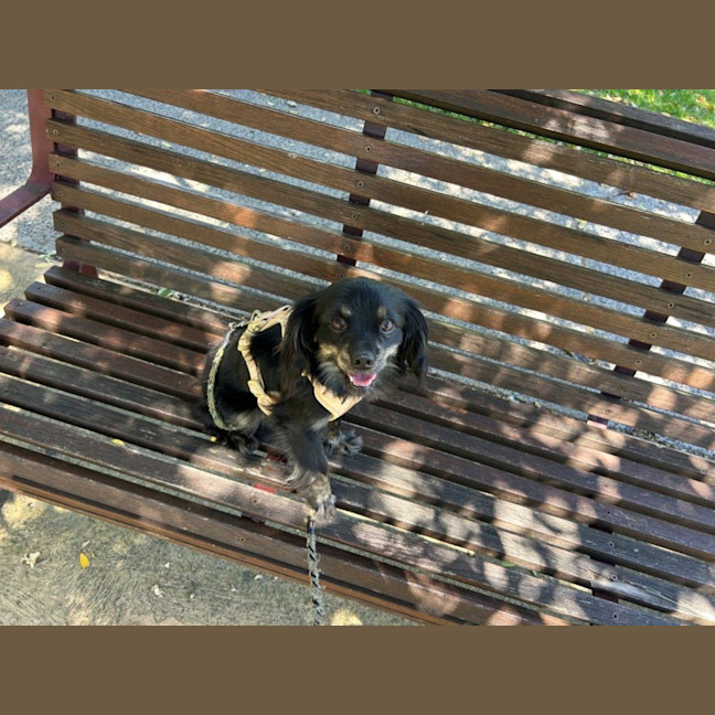 Photo of Tommy Allbright