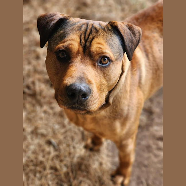 Photo of 👑 King 6259 👑