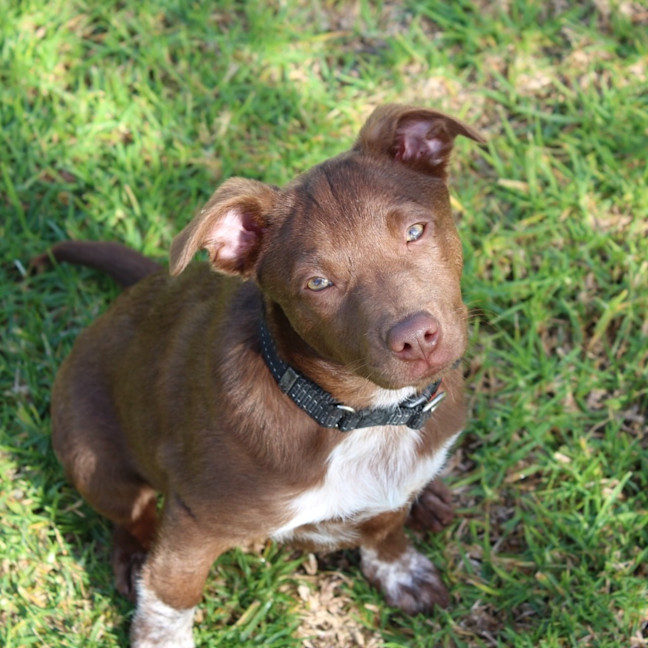 Photo of Hallie