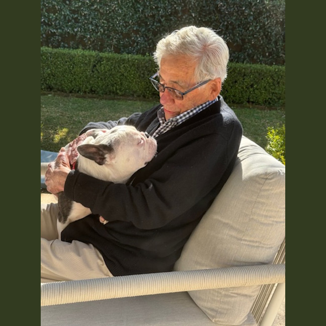 Photo of Kylo   5 Year Old French Bulldog 